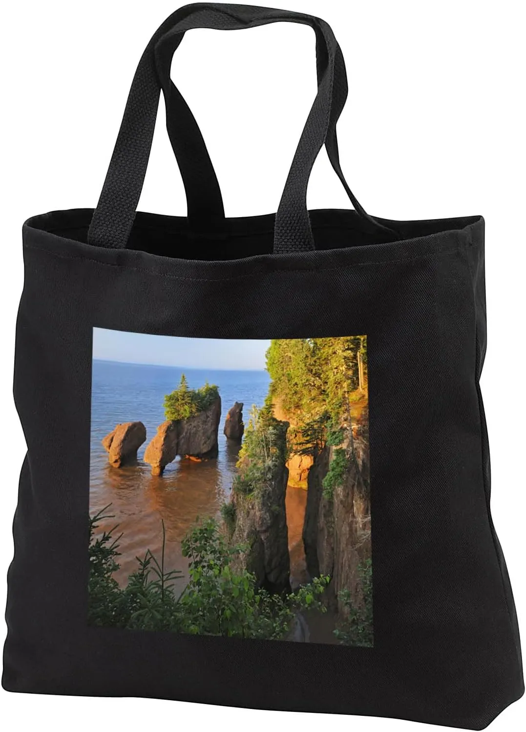 3dRose Canada, NB, The Rocks Provincial Pk. Cape Hopewell rocks at low tide. - Tote Bags (tb_329796)