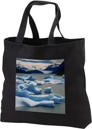 3dRose Icebergs and glacier, Lago Gray, Torres Del Paine NP, Patagonia - Tote Bags (tb_345715)