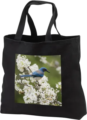 Black Tote Bag 14w x 14h x 3d - Western Scrub Jay in a Mexican Plum tree, Hill Country, Texas Songbirds