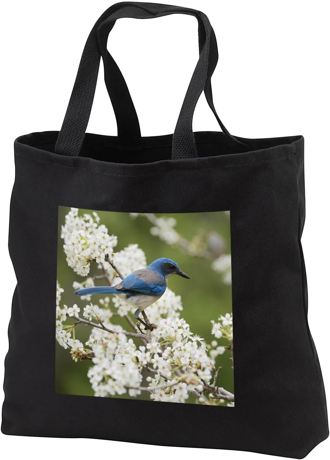 Black Tote Bag 14w x 14h x 3d - Western Scrub Jay in a Mexican Plum tree, Hill Country, Texas Songbirds