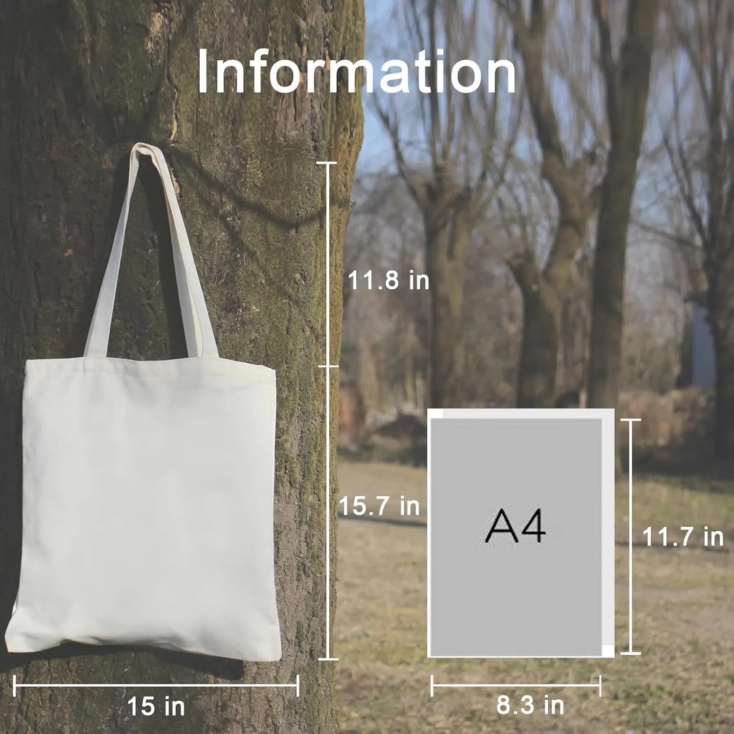Haukea Canvas Aesthetic Tote Bag with Inner Pockets, Cute Cloth Cotton Tote Bags for Women Graphic Tote Bag for School